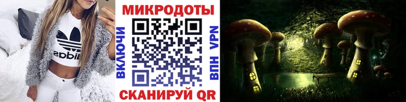 Купить  Озёрск  Галлюциногенные грибы Psilocybine cubensis 